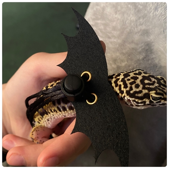 black wing Harness Leash set reptile harness small pet harness w wings MEDIUM - Picture 3 of 10